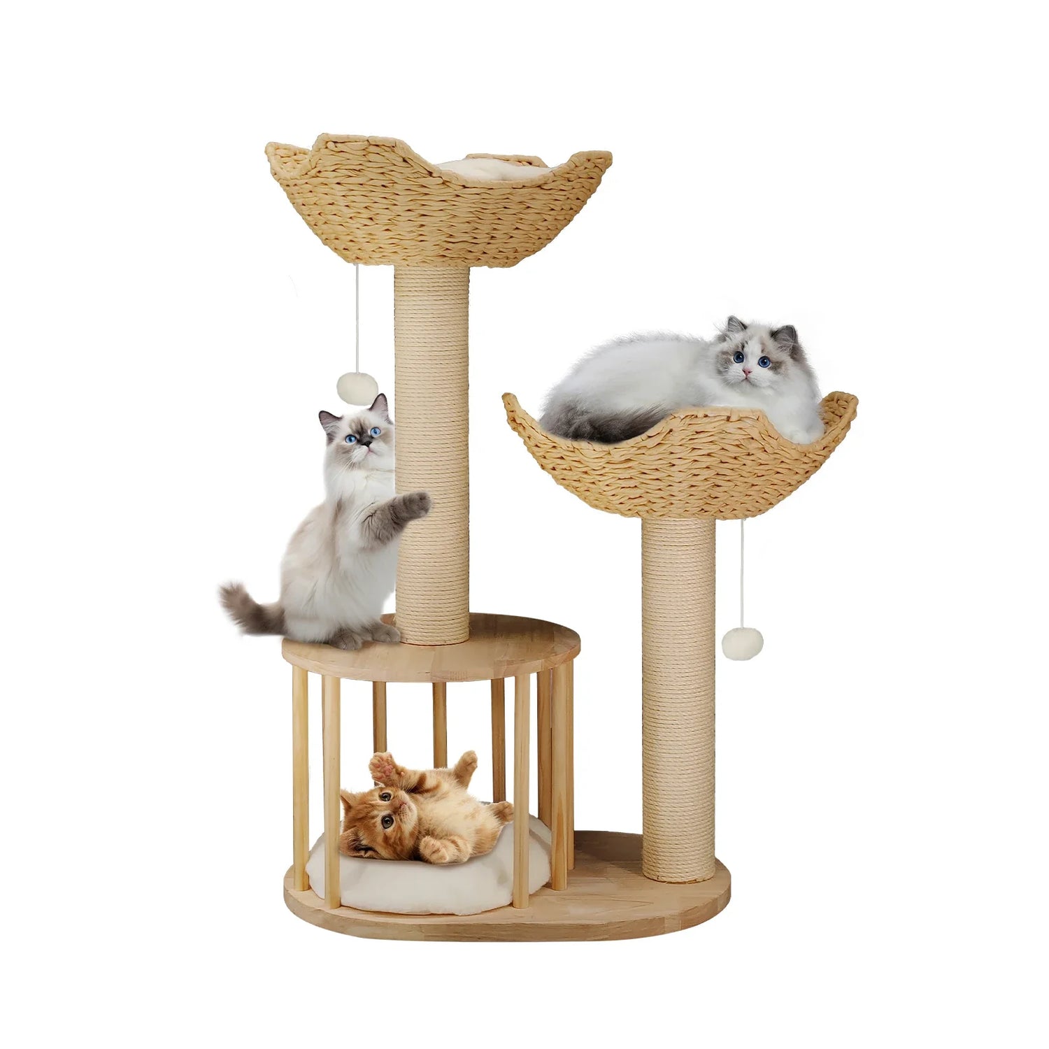 Dog & Cat Supply