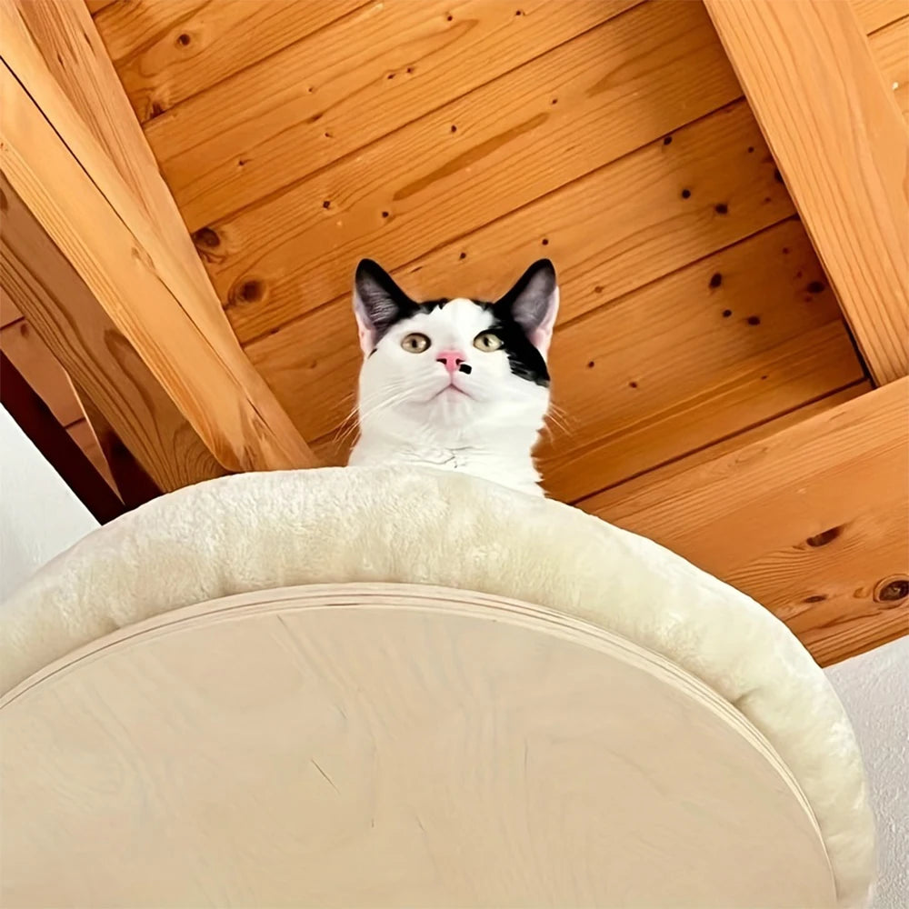 Wall-Mounted Cat Furniture with Wooden Ladder, Hammock & Scratching Post